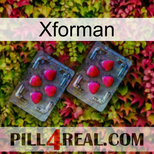 Xforman 14